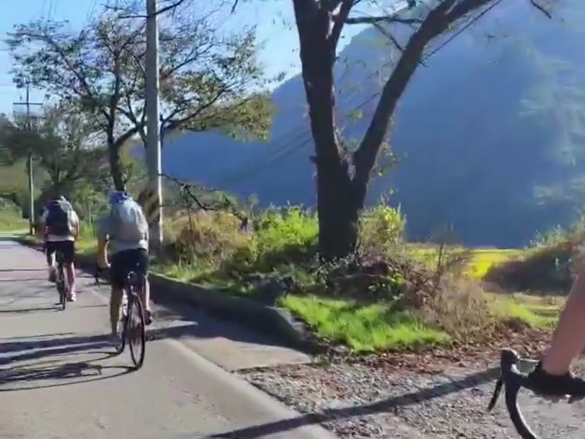 Group of cyclists on Korea 4 Rivers dedicated cycling path autumn colours