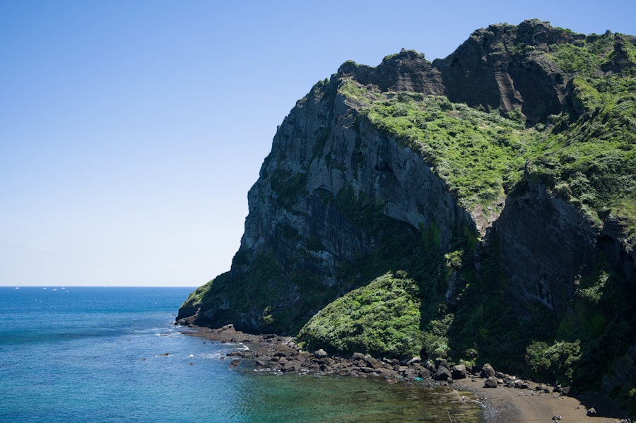 Jeju Olle Trail coastal path green cliff ocean