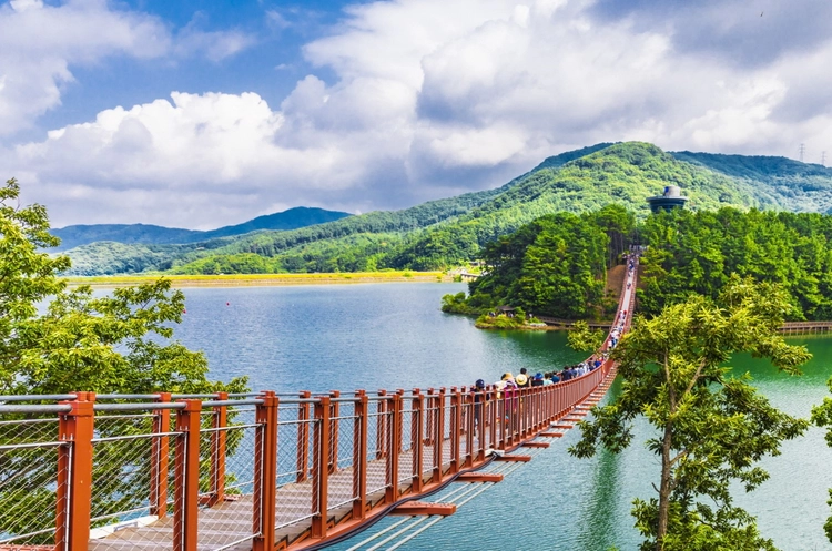 Aerial view of the Lake Majang suspension bridge